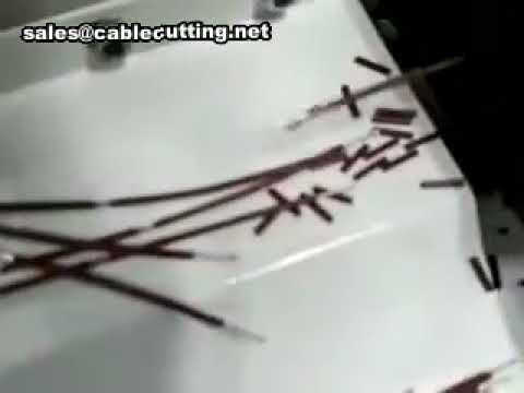 Machine à dénuder les câbles, torsadeuse et coupe-fil industriels | Solutions automatisées