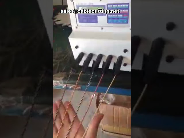 Clamp Stranding Machine with Five Collet for Wire Twisting and Binding