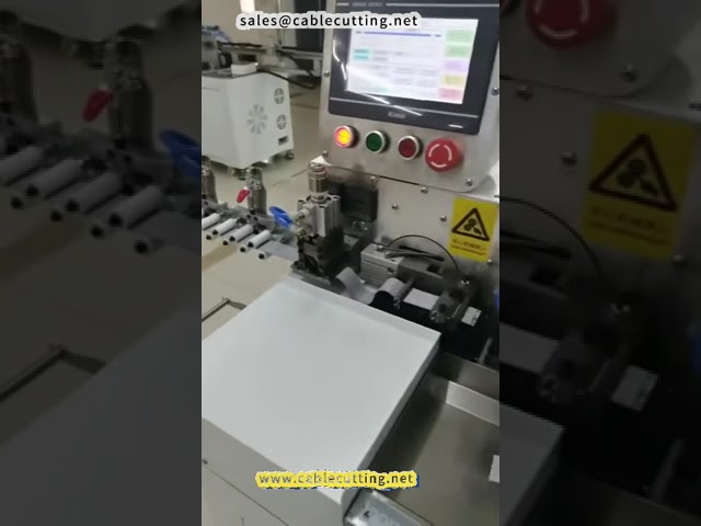 Machine automatique de sertissage et d'étamage à double tête pour câbles plats