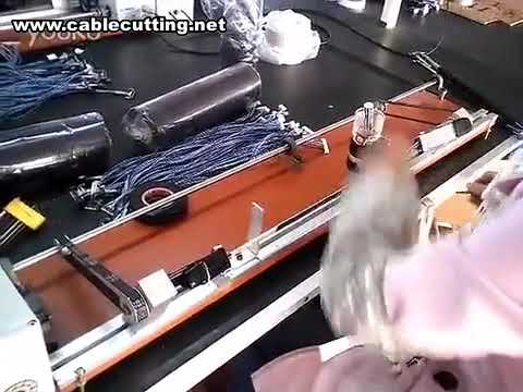 Machine d'enroulement de faisceaux de câbles, enrouleuse pour câbles torsadés, bobinage automatique au ruban adhésif