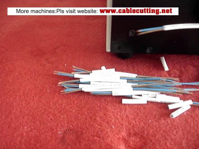 Machine de dénudage et coupe double couche pour câble plat WPM-09P | Automatisation industrielle