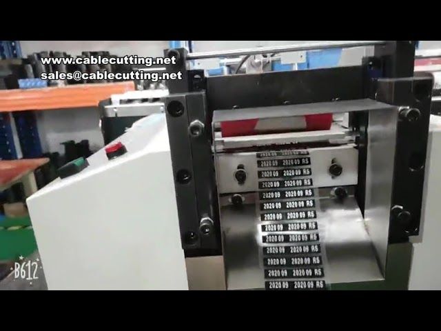 Automatic Foam Half-Broken Cutting Machine for EVA Slicing
