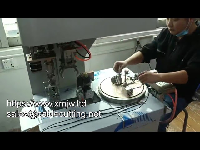 WPM-DL-50L High-Speed Automatic Cable Wire Winding Tying Bundling Machine