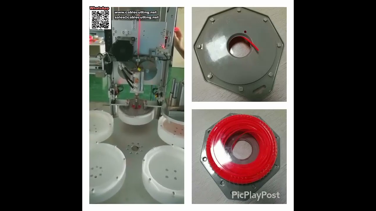 Machine d'enroulement de blister automatique pour l'emballage de fils de coupe-bordures