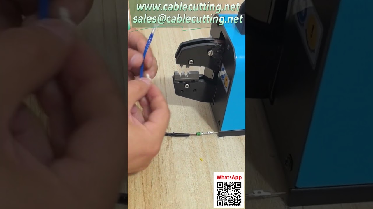 Progressive Die Mold for Multi-Station Terminal Automation Tooling