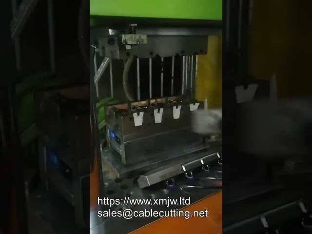 Machine de moulage par injection verticale pour PVC, PU, caoutchouc et ABS - Fabrication de fiches d'alimentation