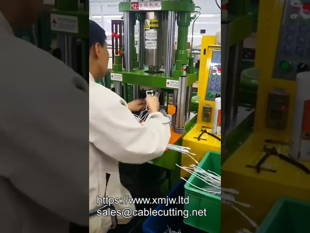 Presse à injecter verticale 250 tonnes haute vitesse pour surmoulage de fiches PVC